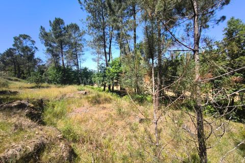 Helårsgrund i Barcelos, Braga, Barcelos - € 37.500 | Ref: 254260800 - foto 4