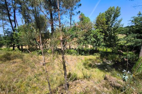 Helårsgrund i Barcelos, Braga, Barcelos - € 37.500 | Ref: 254260800 - foto 5