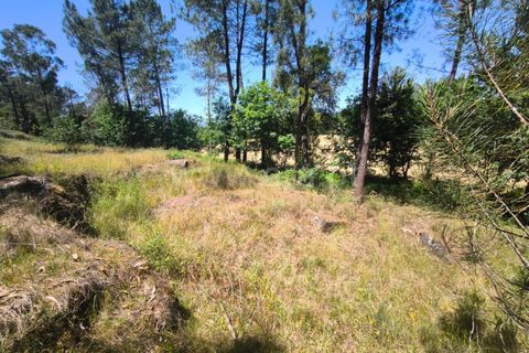 Helårsgrund i Barcelos, Braga, Barcelos - € 37.500 | Ref: 254260800 - foto 7
