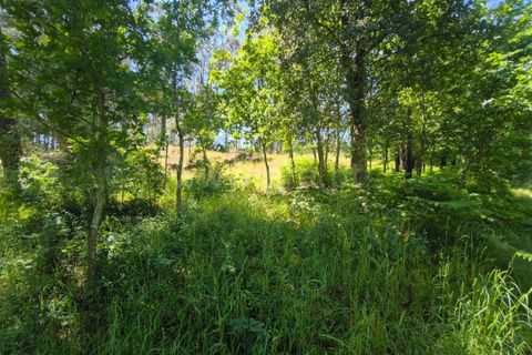 Helårsgrund i Barcelos, Braga, Barcelos - € 37.500 | Ref: 254260800 - foto 8