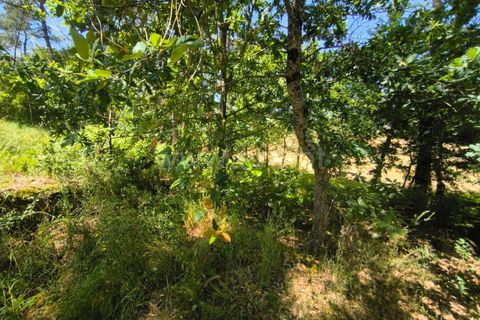 Helårsgrund i Barcelos, Braga, Barcelos - € 37.500 | Ref: 254260800 - foto 12