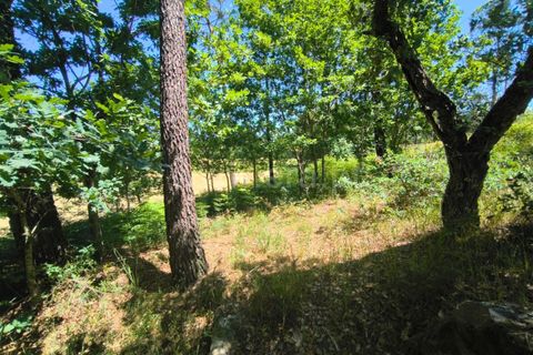 Helårsgrund i Barcelos, Braga, Barcelos - € 37.500 | Ref: 254260800 - foto 13