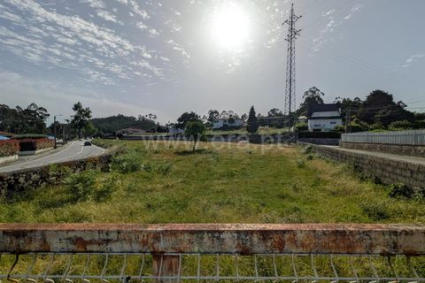 Helårsgrund i Ponte de Lima, Viana do Castelo, Ponte de Lima - € 215.000 | Ref: 254260810 - foto 13
