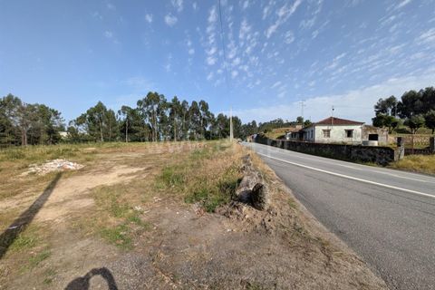 Helårsgrund i Ponte de Lima, Viana do Castelo, Ponte de Lima - € 430.000 | Ref: 254260809 - foto 2