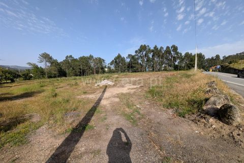 Helårsgrund i Ponte de Lima, Viana do Castelo, Ponte de Lima - € 430.000 | Ref: 254260809 - foto 3
