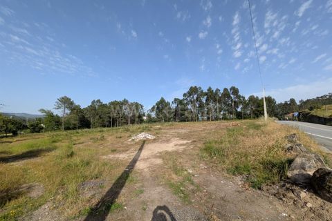 Helårsgrund i Ponte de Lima, Viana do Castelo, Ponte de Lima - € 430.000 | Ref: 254260809 - foto 4