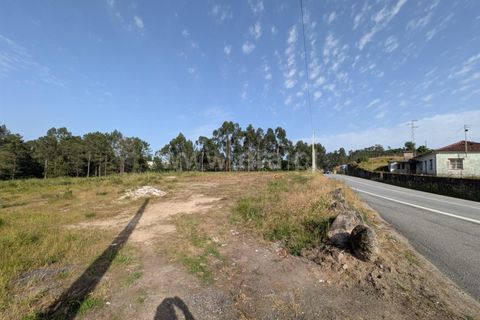Helårsgrund i Ponte de Lima, Viana do Castelo, Ponte de Lima - € 430.000 | Ref: 254260809 - foto 5