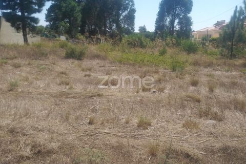 Helårsgrund i Seixal, Setubal, Seixal - € 105.000 | Ref: ZMPT569513 - foto 11