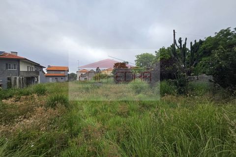 Villa a Madalena, Porto, Madalena - € 350.000 | Ref: LMM3 - foto 15