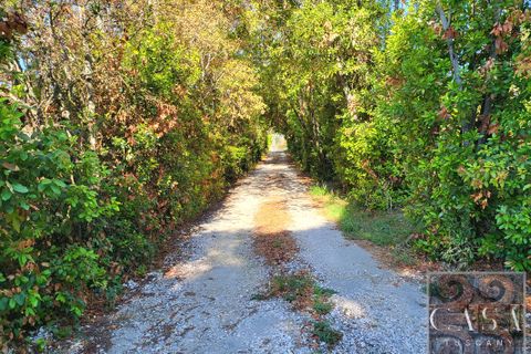Villa i Riparbella, Pisa, Riparbella - € 2.300.000 | Ref: v619213-x - foto 9