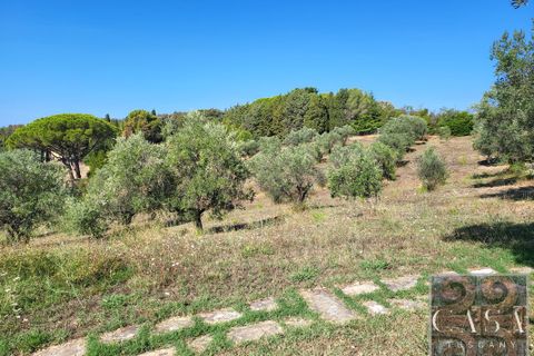 Villa i Riparbella, Pisa, Riparbella - € 2.300.000 | Ref: v619213-x - foto 16