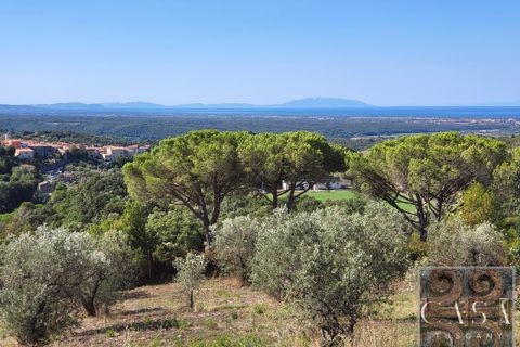 Villa i Riparbella, Pisa, Riparbella - € 2.300.000 | Ref: v619213-x - foto 23