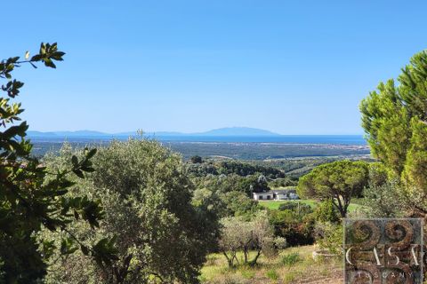 Villa i Riparbella, Pisa, Riparbella - € 2.300.000 | Ref: v619213-x - foto 38