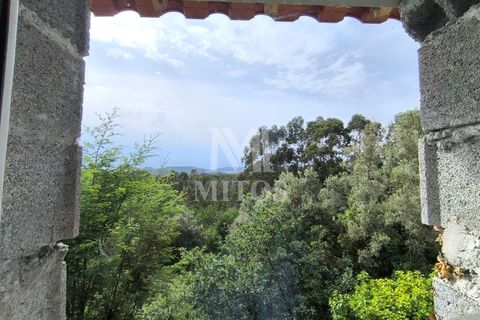 Villa i Viana do Castelo, Viana do Castelo, Viana do Castelo - € 225.000 | Ref: D436 - foto 9