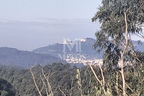 Villa i Viana do Castelo, Viana do Castelo, Viana do Castelo - € 225.000 | Ref: D436 - foto 11