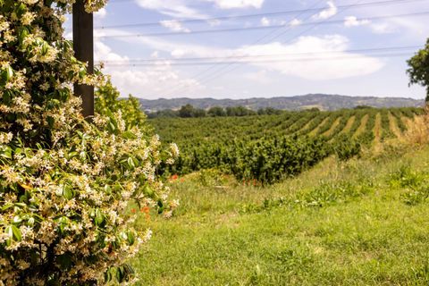 Lejlighed i Nepi, Viterbo, Nepi - € 230.000 | Ref: Rif: 0680 - foto 8