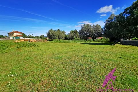 Helårsgrund i Ponte de Lima, Viana do Castelo, Ponte de Lima - € 215.000 | Ref: 137/2026 - foto 1