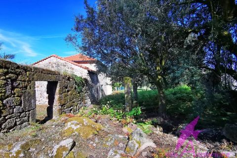 Helårsgrund i Ponte de Lima, Viana do Castelo, Ponte de Lima - € 215.000 | Ref: 137/2026 - foto 2