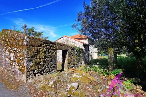 Helårsgrund i Ponte de Lima, Viana do Castelo, Ponte de Lima - € 215.000 | Ref: 137/2026 - foto 3