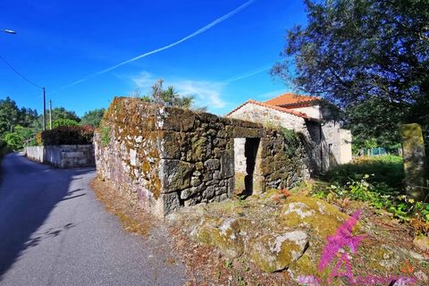 Helårsgrund i Ponte de Lima, Viana do Castelo, Ponte de Lima - € 215.000 | Ref: 137/2026 - foto 4