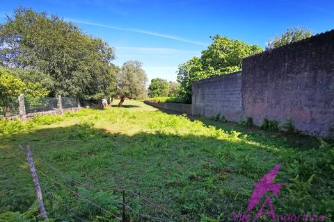 Helårsgrund i Ponte de Lima, Viana do Castelo, Ponte de Lima - € 215.000 | Ref: 137/2026 - foto 5