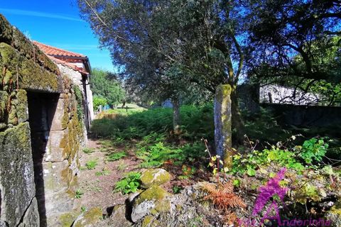 Helårsgrund i Ponte de Lima, Viana do Castelo, Ponte de Lima - € 215.000 | Ref: 137/2026 - foto 6