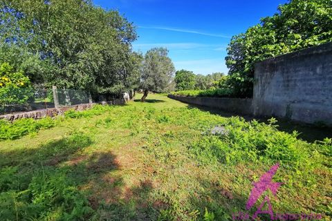 Helårsgrund i Ponte de Lima, Viana do Castelo, Ponte de Lima - € 215.000 | Ref: 137/2026 - foto 7