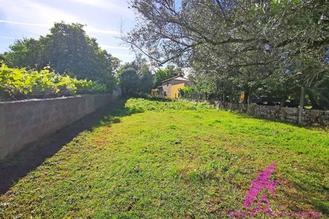 Helårsgrund i Ponte de Lima, Viana do Castelo, Ponte de Lima - € 215.000 | Ref: 137/2026 - foto 8