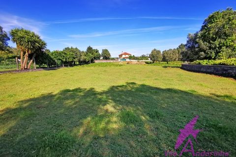 Helårsgrund i Ponte de Lima, Viana do Castelo, Ponte de Lima - € 215.000 | Ref: 137/2026 - foto 9