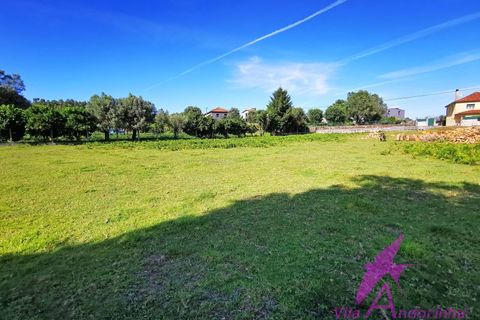 Helårsgrund i Ponte de Lima, Viana do Castelo, Ponte de Lima - € 215.000 | Ref: 137/2026 - foto 10