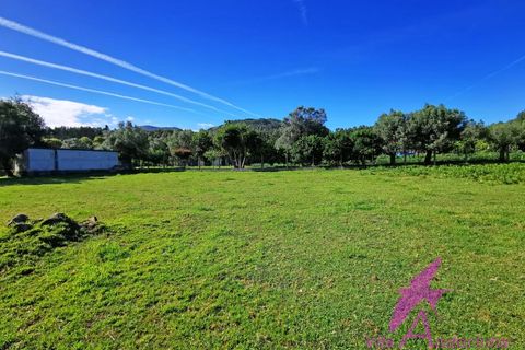 Helårsgrund i Ponte de Lima, Viana do Castelo, Ponte de Lima - € 215.000 | Ref: 137/2026 - foto 11