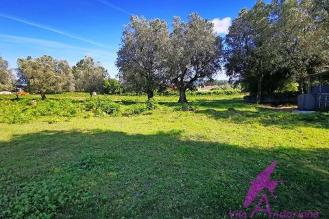 Helårsgrund i Ponte de Lima, Viana do Castelo, Ponte de Lima - € 215.000 | Ref: 137/2026 - foto 12