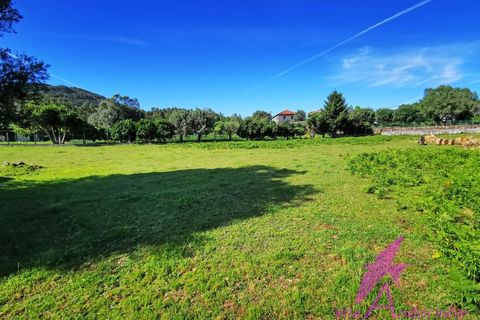 Helårsgrund i Ponte de Lima, Viana do Castelo, Ponte de Lima - € 215.000 | Ref: 137/2026 - foto 13