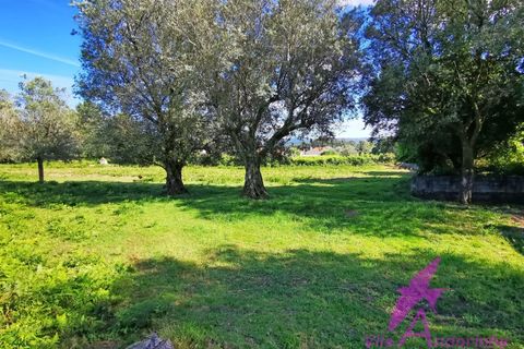 Helårsgrund i Ponte de Lima, Viana do Castelo, Ponte de Lima - € 215.000 | Ref: 137/2026 - foto 14