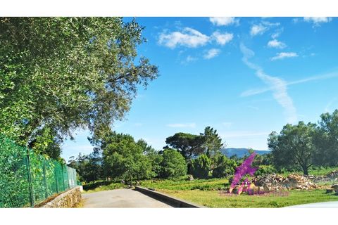 Helårsgrund i Ponte de Lima, Viana do Castelo, Ponte de Lima - € 215.000 | Ref: 137/2026 - foto 16