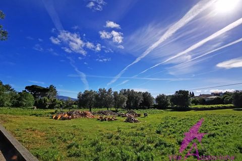 Helårsgrund i Ponte de Lima, Viana do Castelo, Ponte de Lima - € 215.000 | Ref: 137/2026 - foto 17