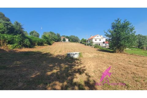 Helårsgrund i Viana do Castelo, Viana do Castelo, Viana do Castelo - € 110.000 | Ref: 139/2026 - foto 6