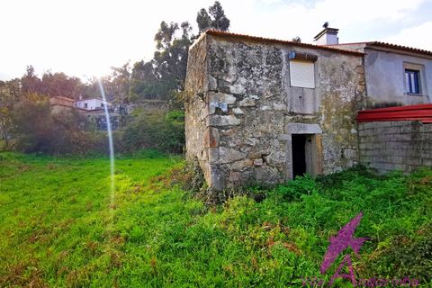 Ruïna a Venade e Azevedo, Viana do Castelo, Venade e Azevedo - € 150.000 | Ref: 140/2026 - foto 4