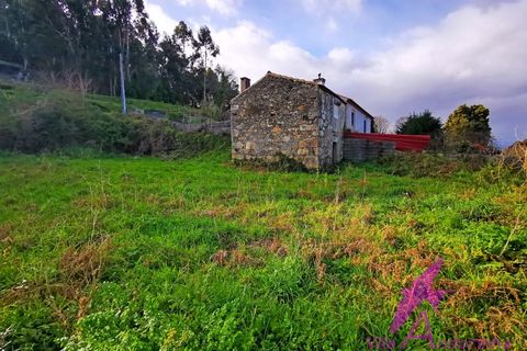Ruïna a Venade e Azevedo, Viana do Castelo, Venade e Azevedo - € 150.000 | Ref: 140/2026 - foto 5