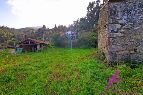 Ruïna a Venade e Azevedo, Viana do Castelo, Venade e Azevedo - € 150.000 | Ref: 140/2026 - foto 6