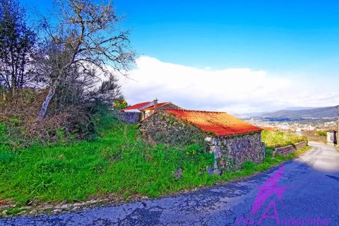 Ruïna a Venade e Azevedo, Viana do Castelo, Venade e Azevedo - € 150.000 | Ref: 140/2026 - foto 9