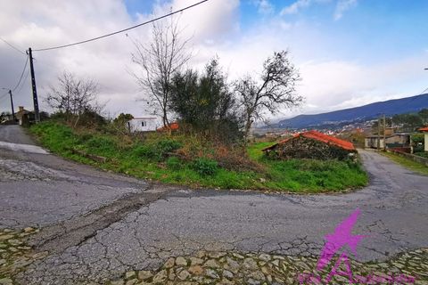 Ruïna a Venade e Azevedo, Viana do Castelo, Venade e Azevedo - € 150.000 | Ref: 140/2026 - foto 10