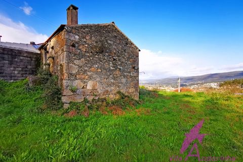 Ruïna a Venade e Azevedo, Viana do Castelo, Venade e Azevedo - € 150.000 | Ref: 140/2026 - foto 11