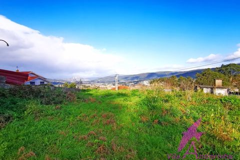 Ruïna a Venade e Azevedo, Viana do Castelo, Venade e Azevedo - € 150.000 | Ref: 140/2026 - foto 12