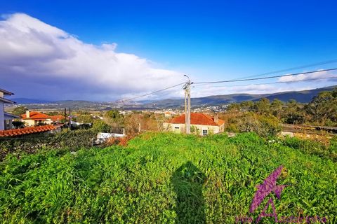 Ruïna a Venade e Azevedo, Viana do Castelo, Venade e Azevedo - € 150.000 | Ref: 140/2026 - foto 13