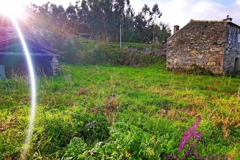 Ruïna a Venade e Azevedo, Viana do Castelo, Venade e Azevedo - € 150.000 | Ref: 140/2026 - foto 14