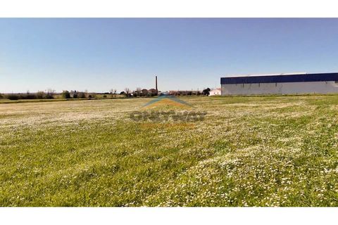 Helårsgrund i Evora, Evora, Evora - € 2.000.000 | Ref: 452 - foto 3