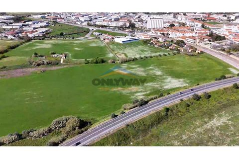 Helårsgrund i Evora, Evora, Evora - € 2.000.000 | Ref: 452 - foto 5