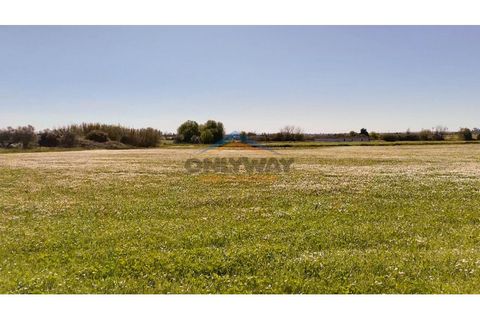 Helårsgrund i Evora, Evora, Evora - € 2.000.000 | Ref: 452 - foto 8