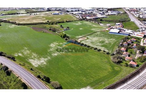Helårsgrund i Evora, Evora, Evora - € 2.000.000 | Ref: 452 - foto 9